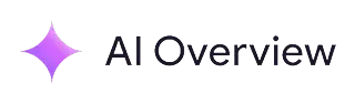 Google AI Overview