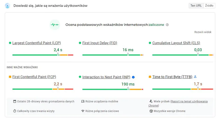 Assessment of the basic metrics in PageSpeed Insights. It is worth paying attention to the Time to First Byte metric – it helps identify when a web server is too slow to respond to client requests.