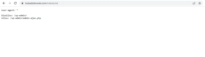 Basic robots.txt file generated by WordPress